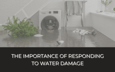 The Importance of Responding to Water Damage