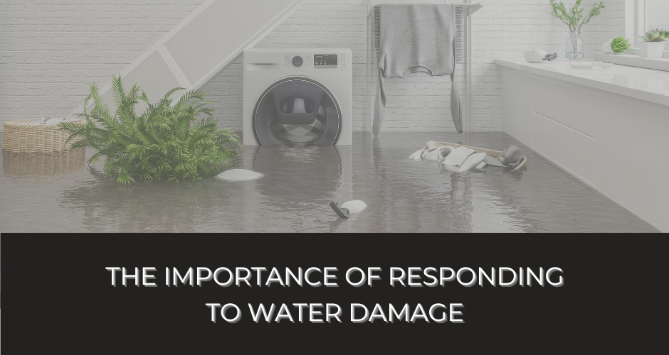 THE IMPORTANCE OF WATER DAMAGE MCKINNEY TX